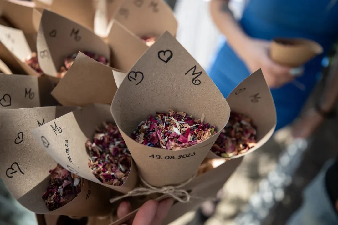 Steve Photography – JPEG Bild 44 ergebnis